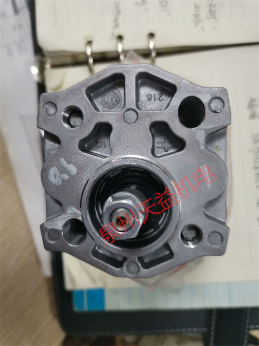 力士樂(lè)齒輪泵 (2).jpg