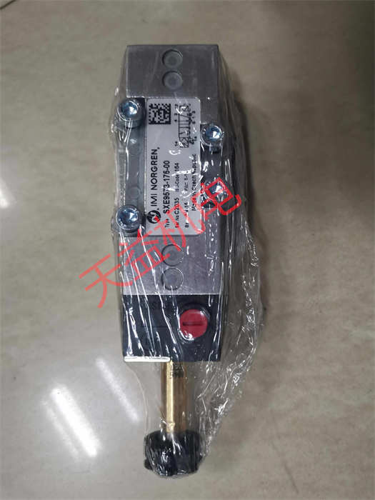 SXE9573-175-00.jpg